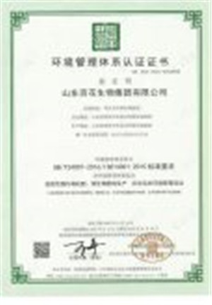 環(huán)境管理體系認(rèn)證證書(shū)